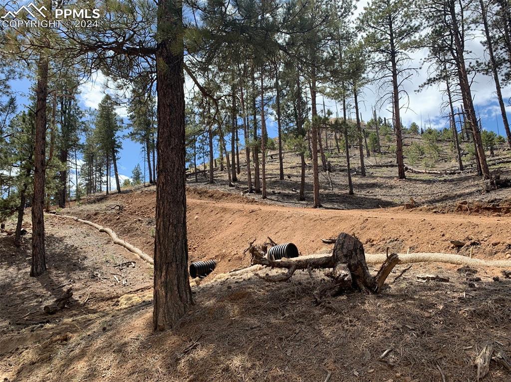 15421 Westcreek Road Woodland Park CO 80863