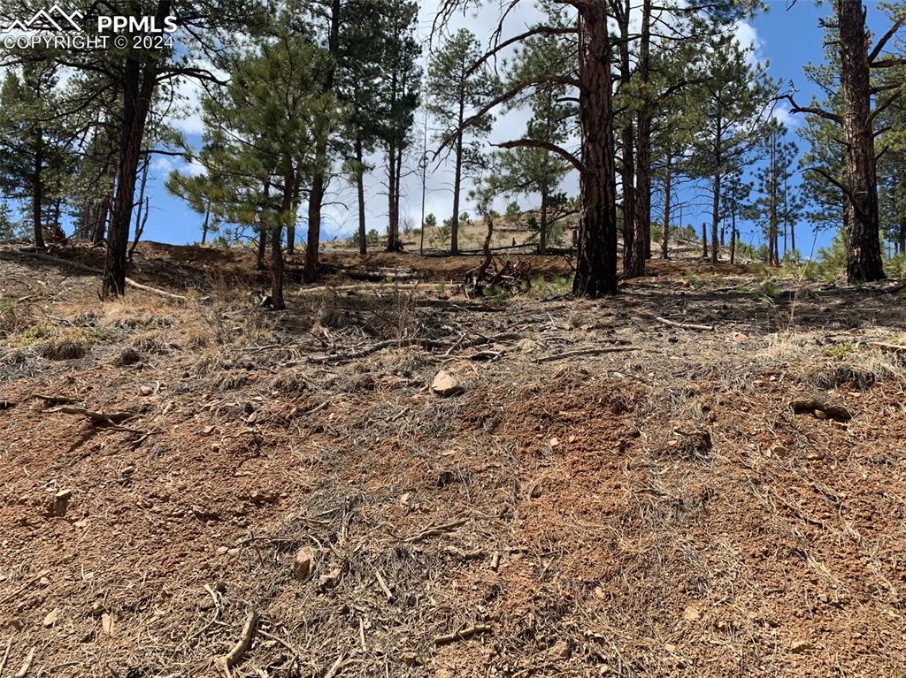 15421 Westcreek Road Woodland Park CO 80863