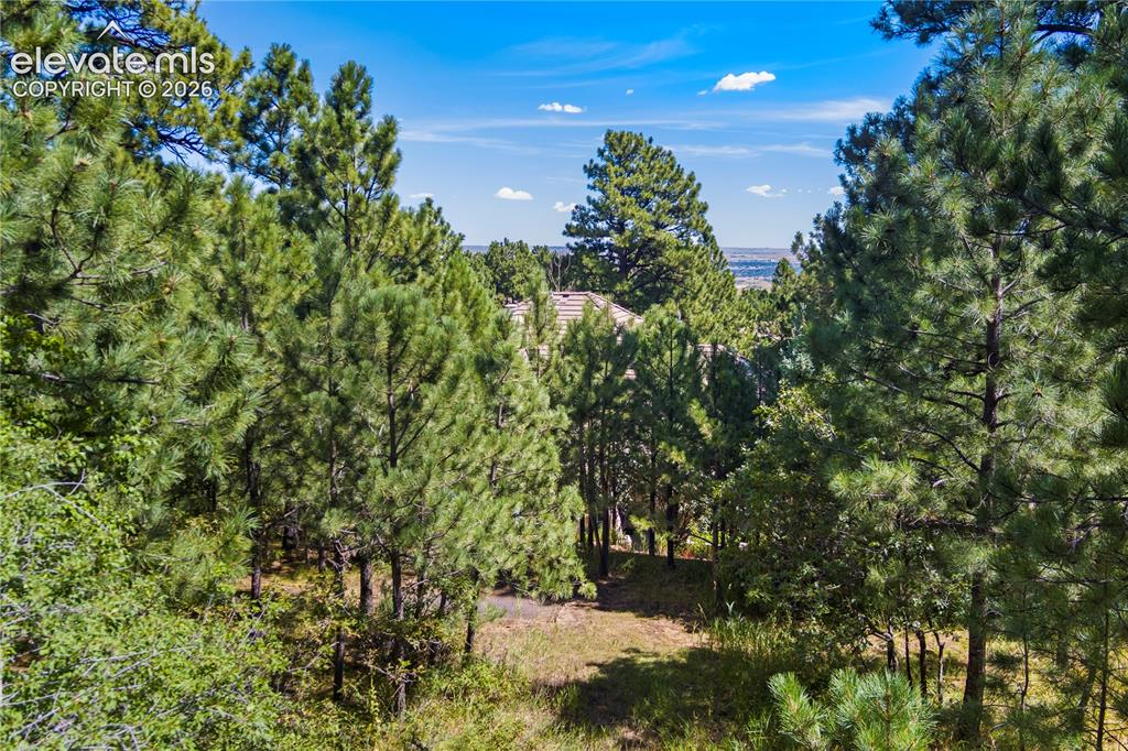 5625 Jarman Street Colorado Springs CO 80906