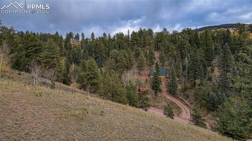 65 Portland Drive Cripple Creek CO 80813