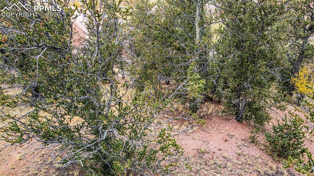65 Portland Drive Cripple Creek CO 80813