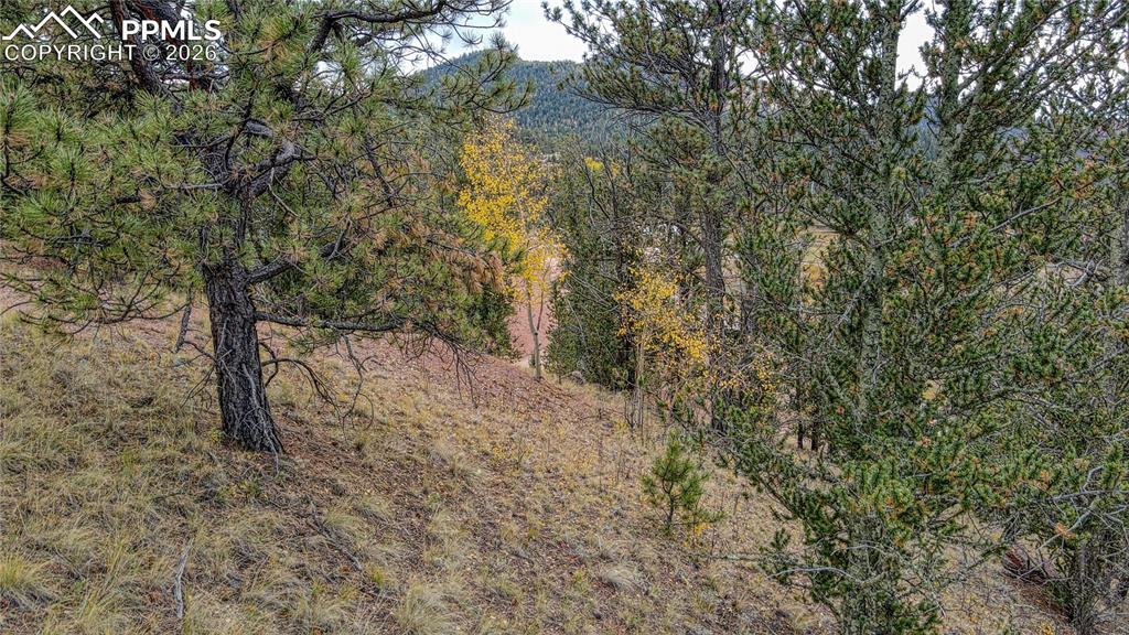 65 Portland Drive Cripple Creek CO 80813