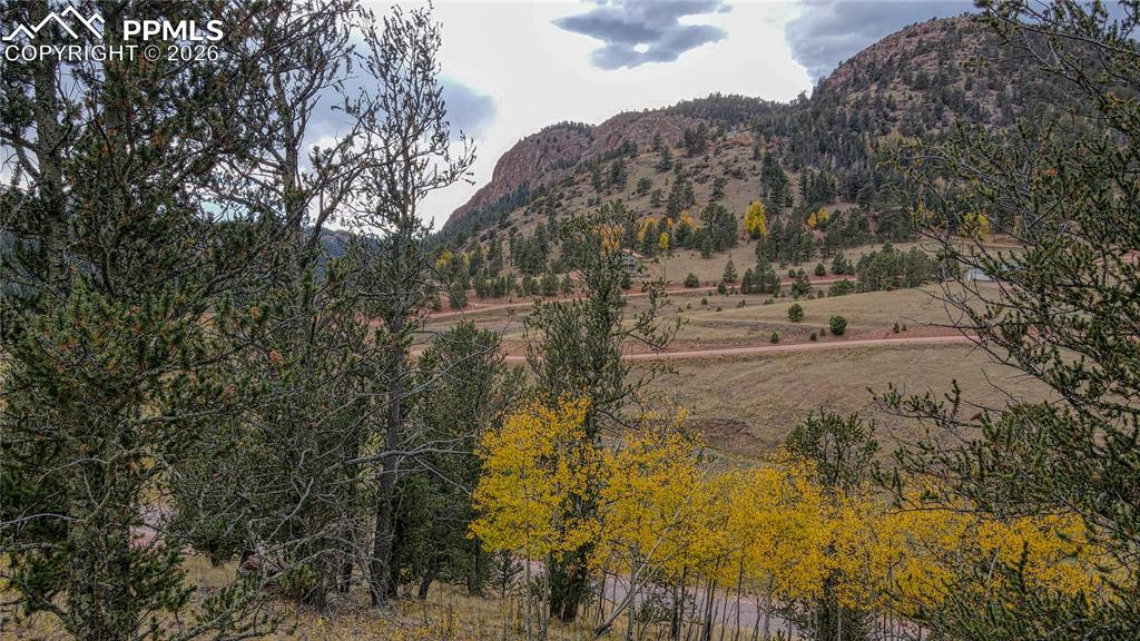 65 Portland Drive Cripple Creek CO 80813