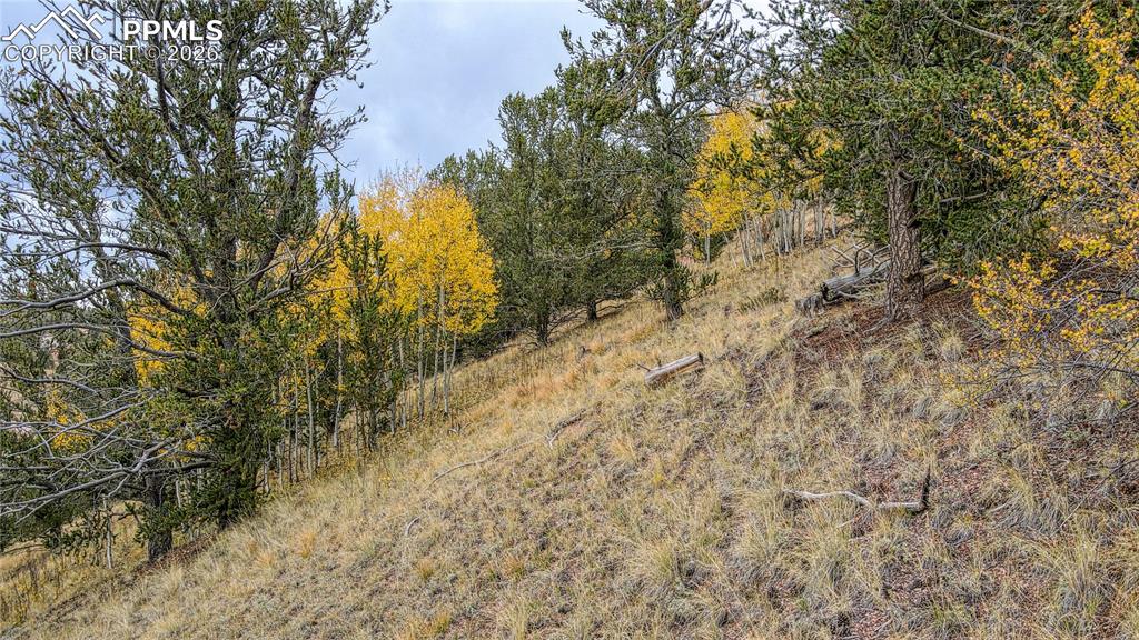 65 Portland Drive Cripple Creek CO 80813