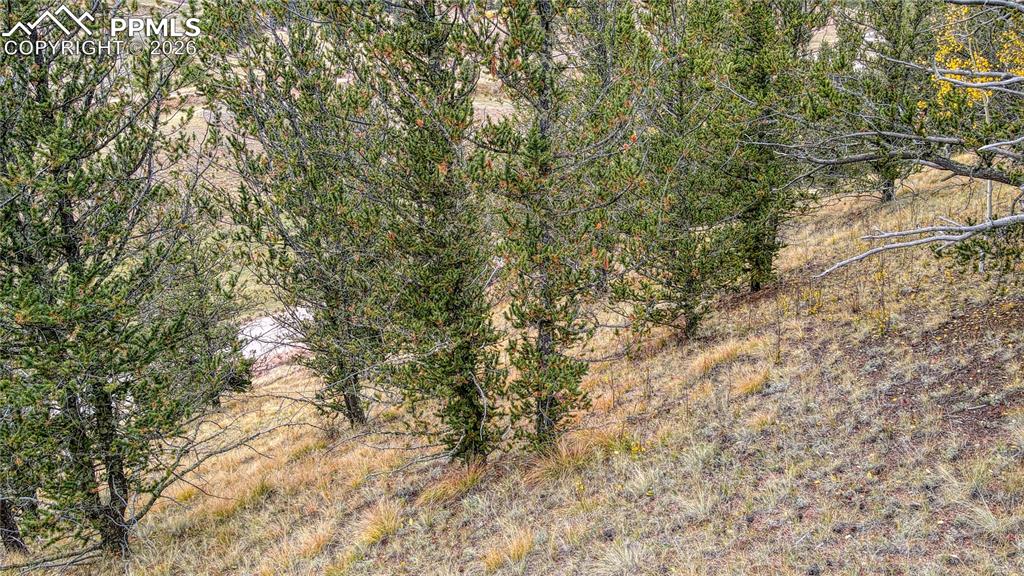 65 Portland Drive Cripple Creek CO 80813