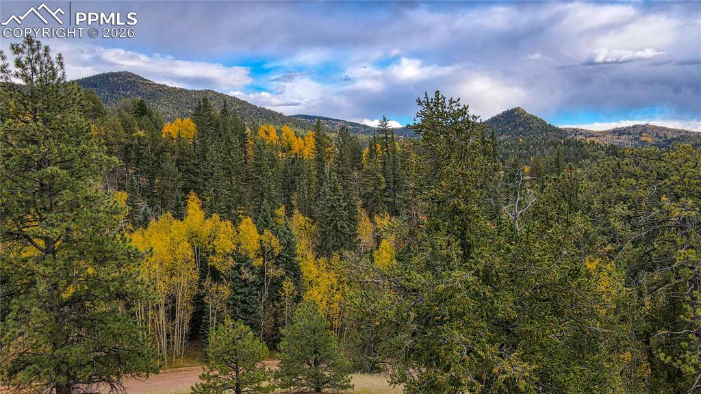 65 Portland Drive Cripple Creek CO 80813