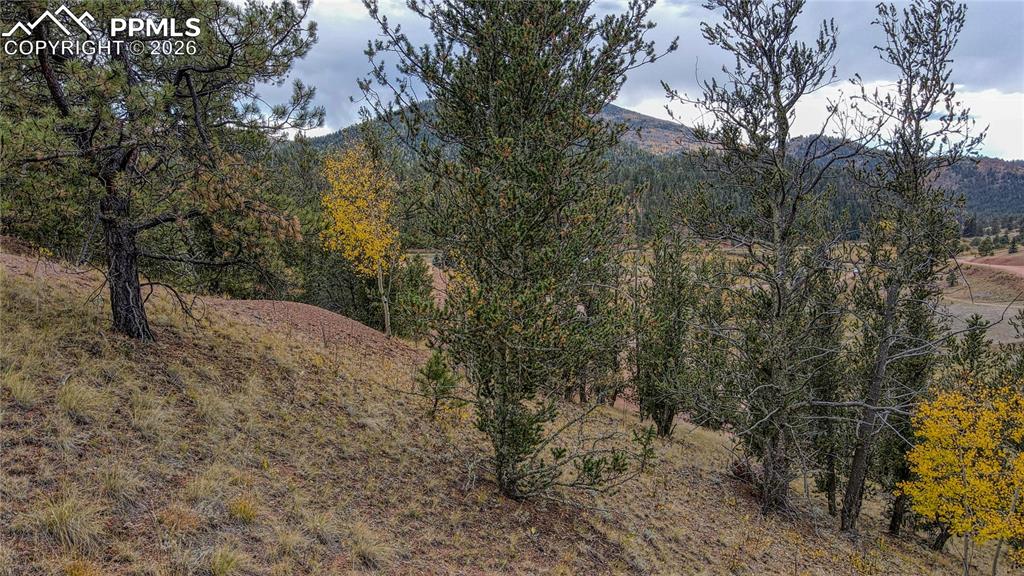 65 Portland Drive Cripple Creek CO 80813