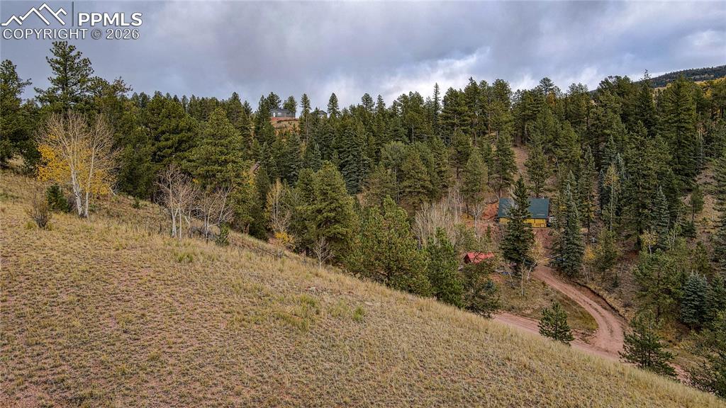 65 Portland Drive Cripple Creek CO 80813