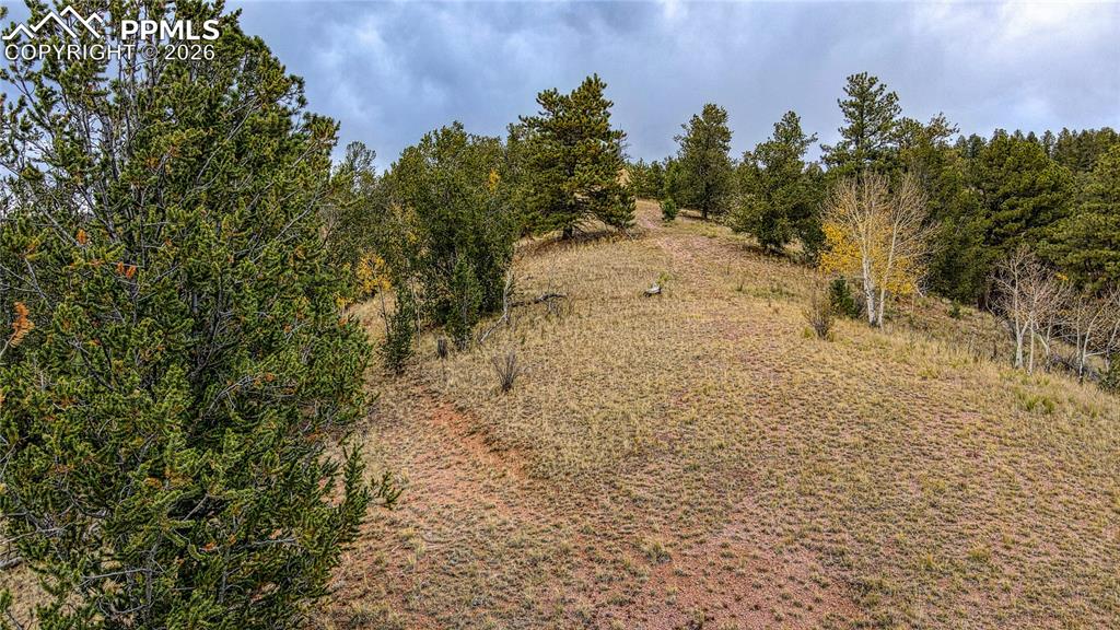65 Portland Drive Cripple Creek CO 80813