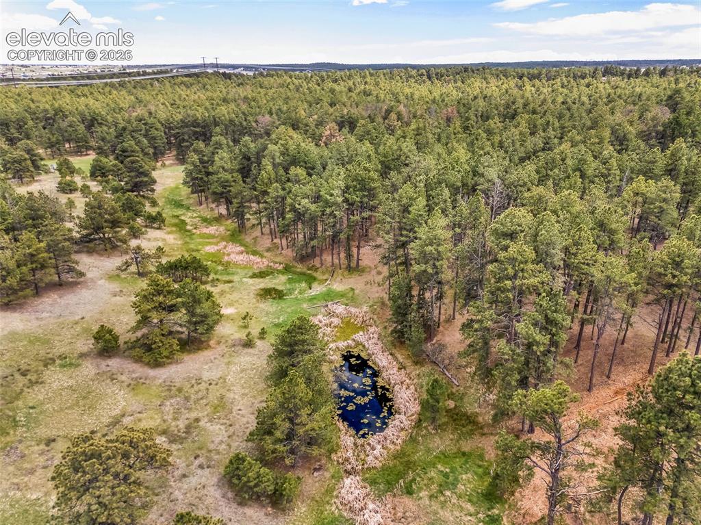 10655 Hardy Road Colorado Springs CO 80908