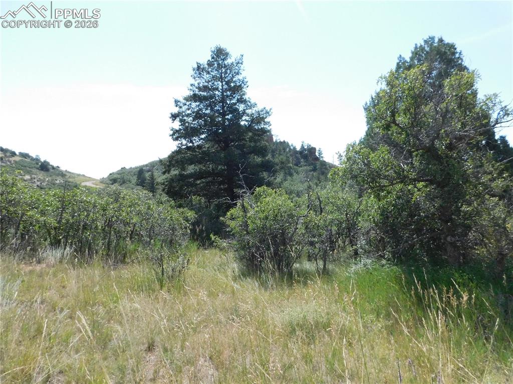 5967 Country Club Drive Larkspur CO 80118