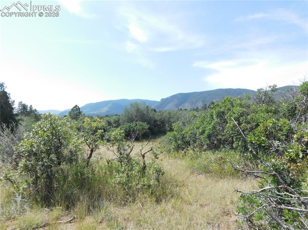 5967 Country Club Drive Larkspur CO 80118