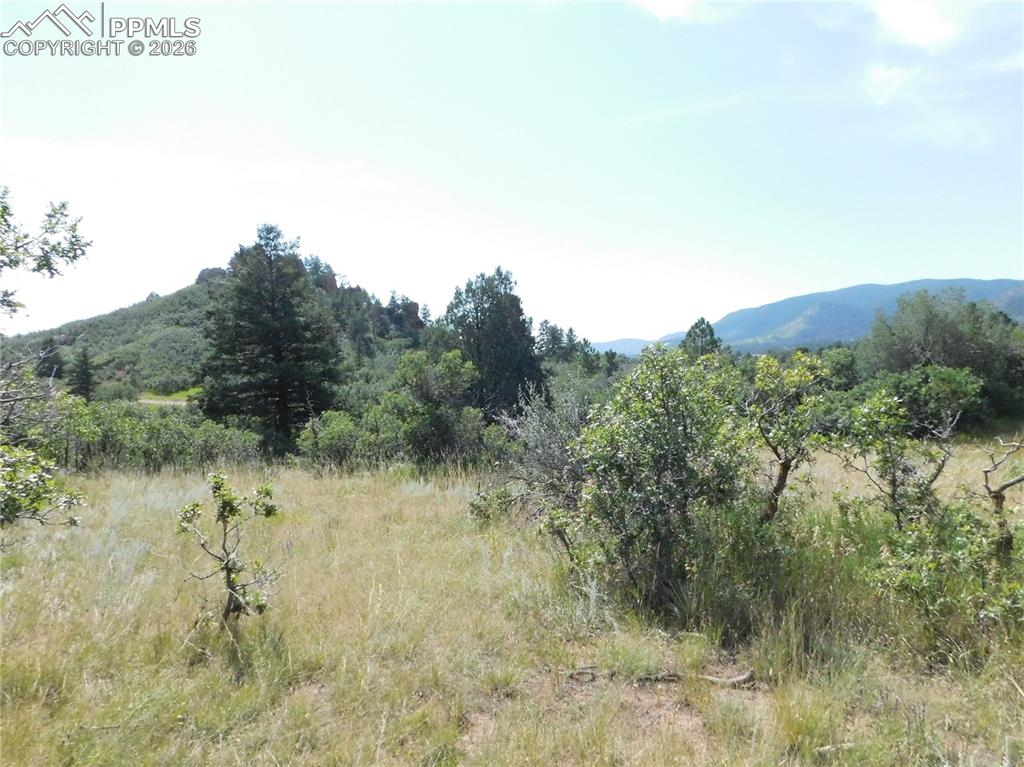 5967 Country Club Drive Larkspur CO 80118