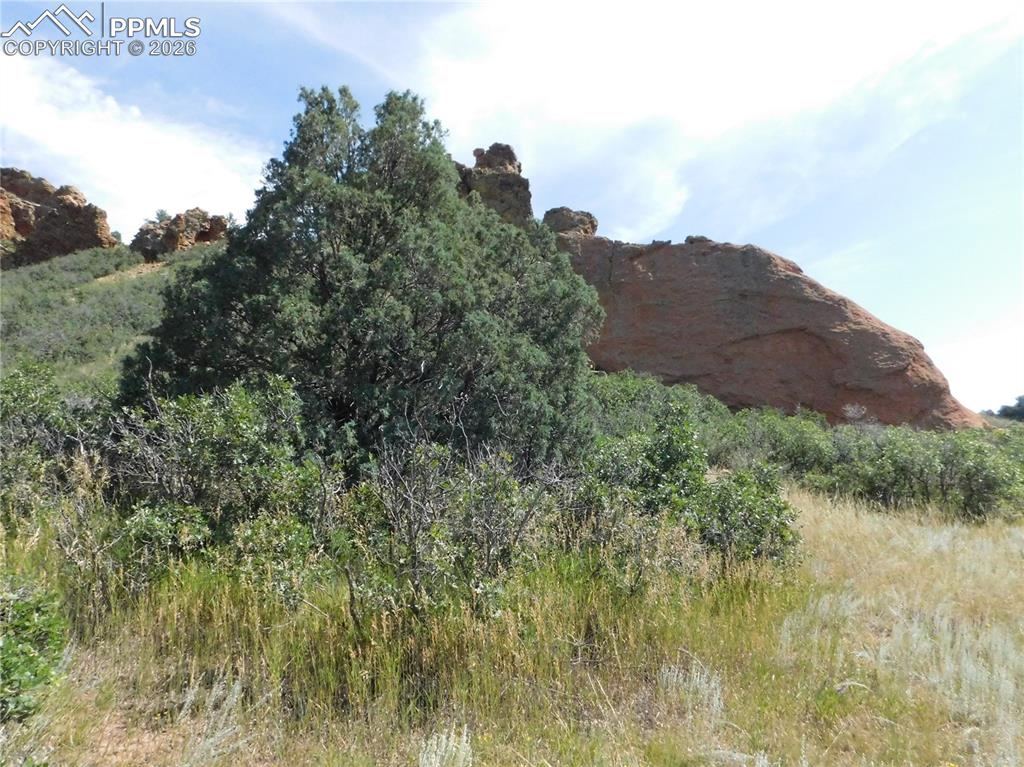 5967 Country Club Drive Larkspur CO 80118