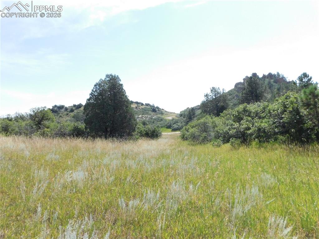 5967 Country Club Drive Larkspur CO 80118