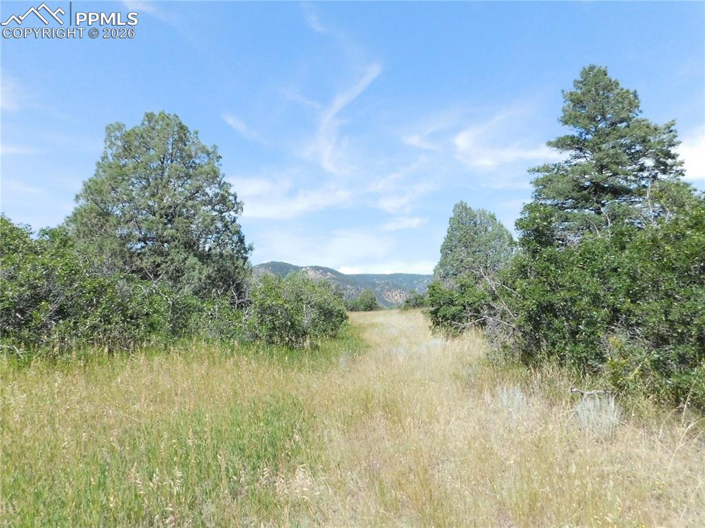 5967 Country Club Drive Larkspur CO 80118