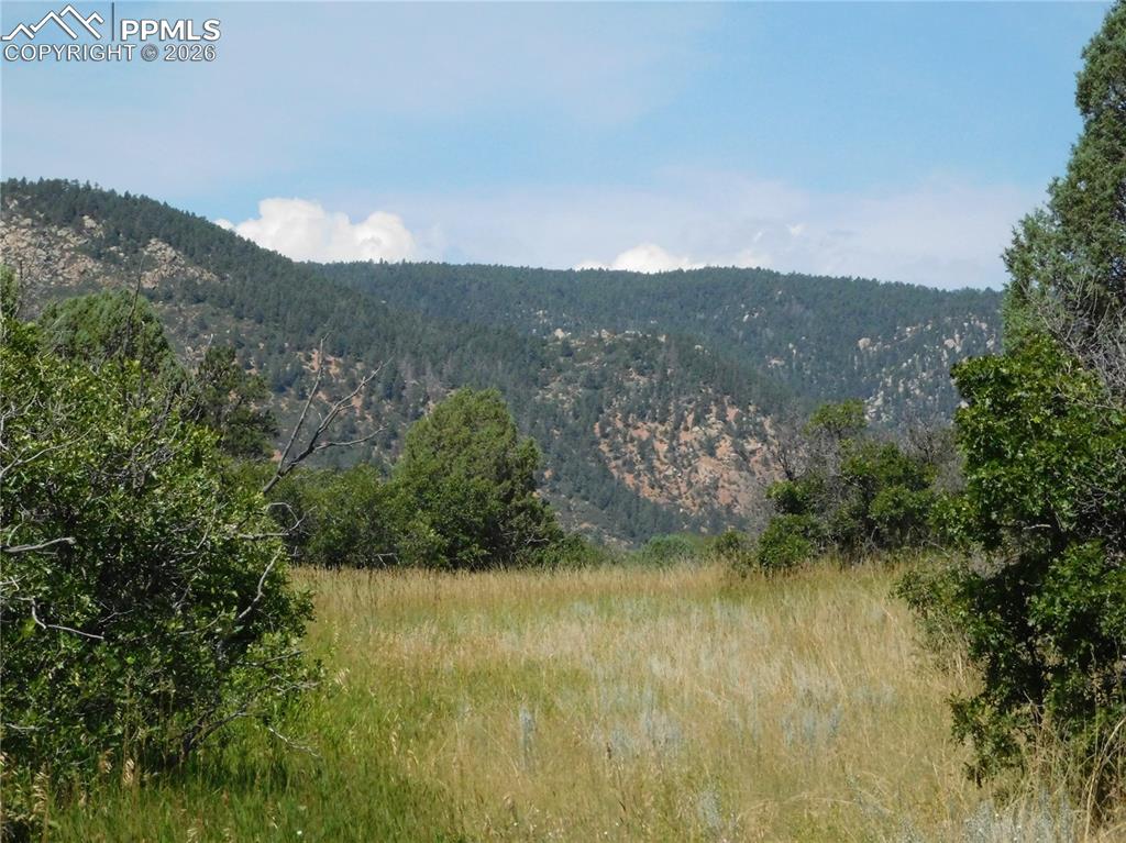 5967 Country Club Drive Larkspur CO 80118