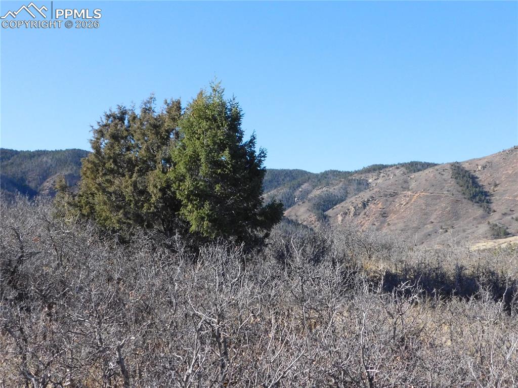6271 Country Club Drive Larkspur CO 80118
