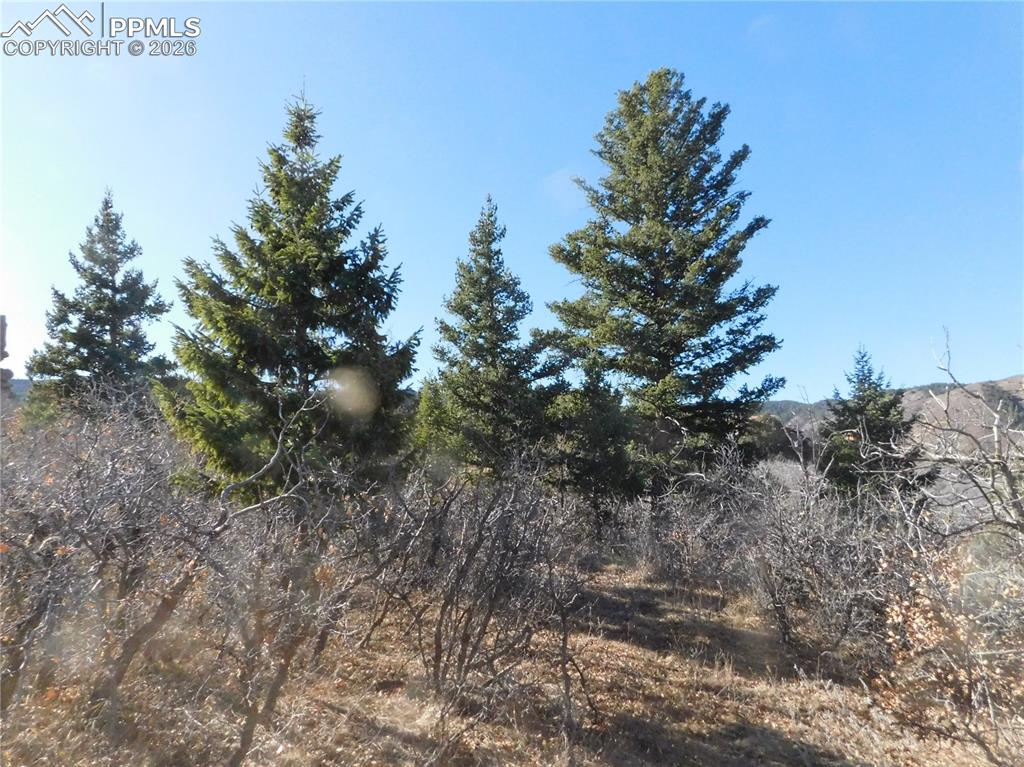 6271 Country Club Drive Larkspur CO 80118