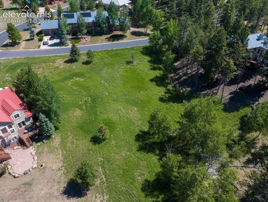 921 Heather Court Woodland Park CO 80863