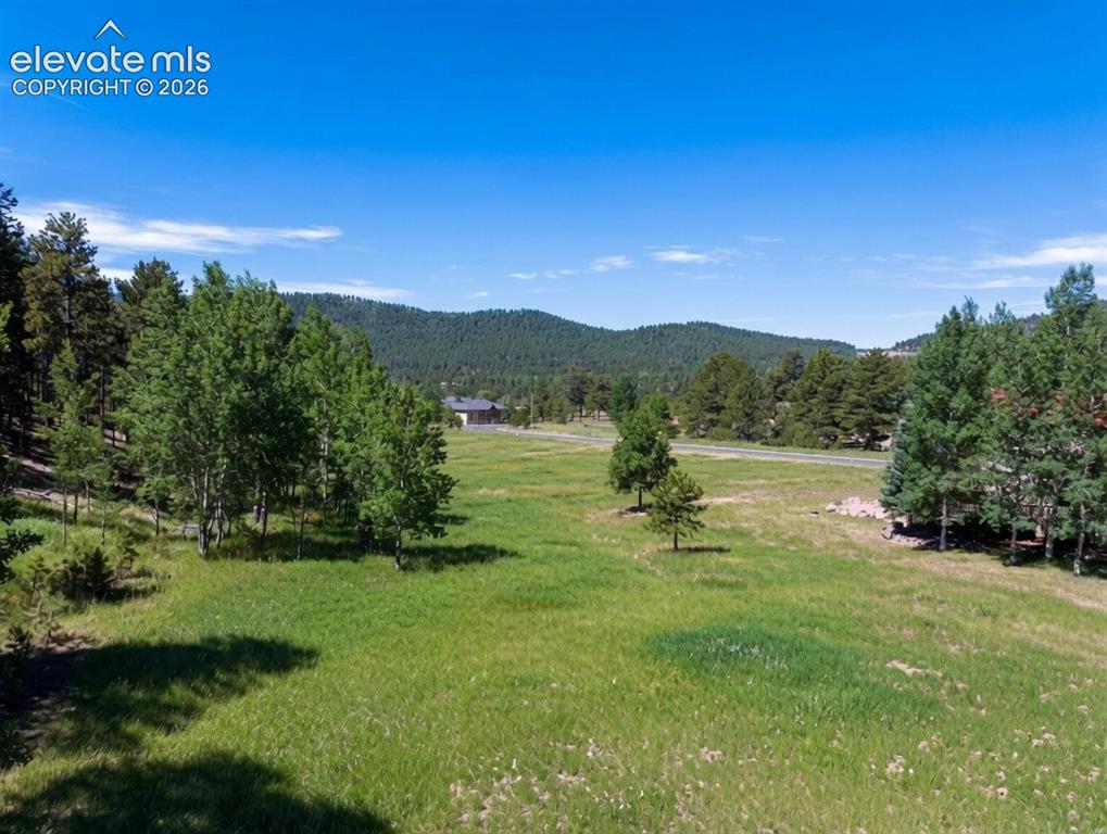 921 Heather Court Woodland Park CO 80863