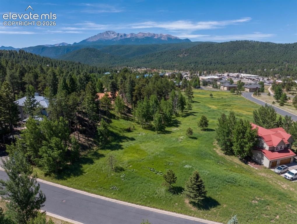 921 Heather Court Woodland Park CO 80863