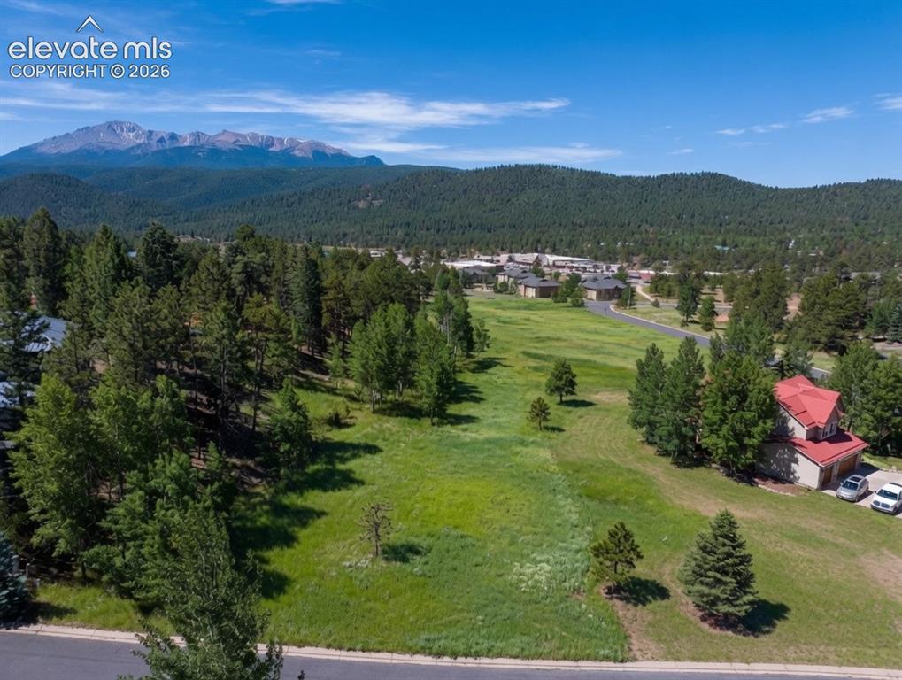 921 Heather Court Woodland Park CO 80863