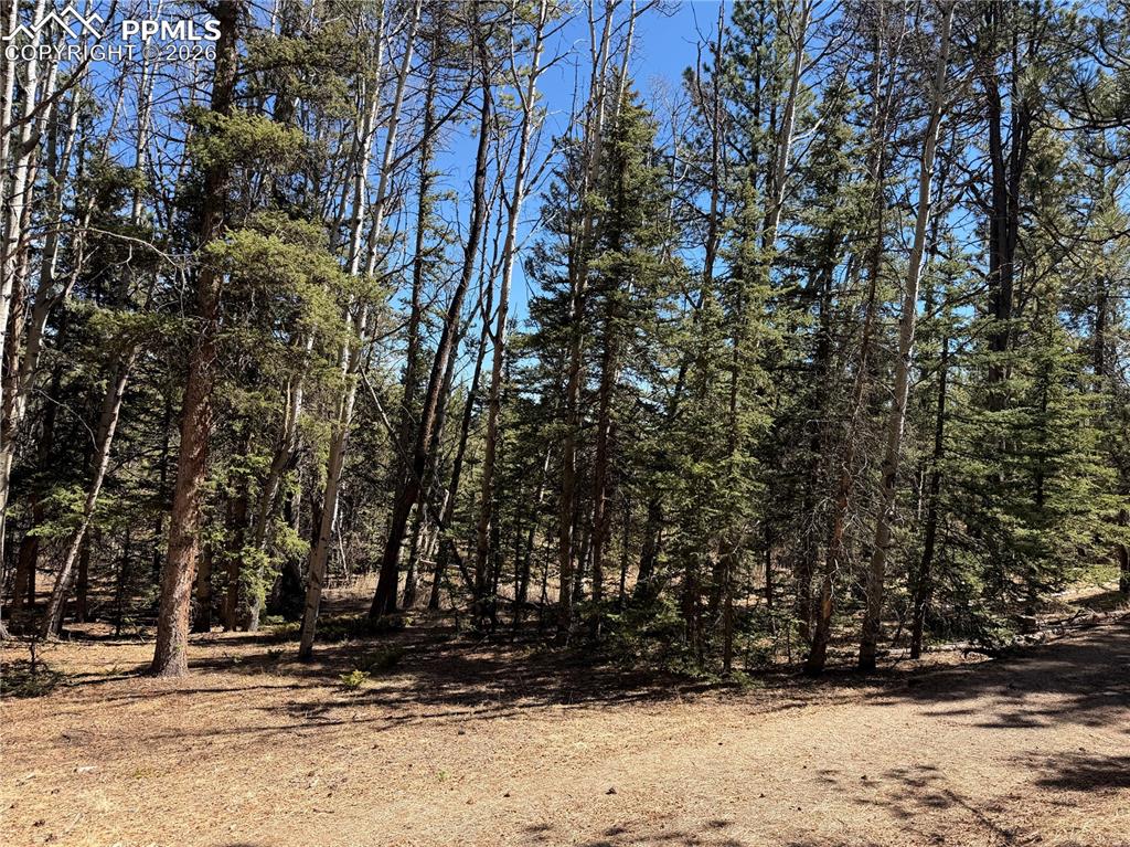 249 Gold Dust Creek Road Florissant CO 80816