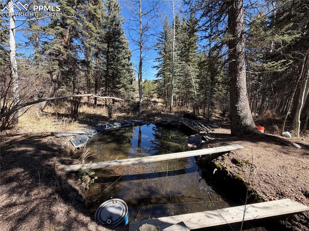 249 Gold Dust Creek Road Florissant CO 80816