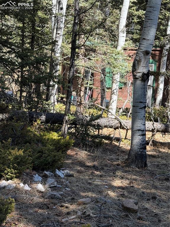 249 Gold Dust Creek Road Florissant CO 80816