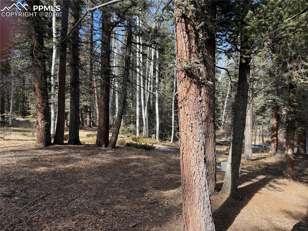 249 Gold Dust Creek Road Florissant CO 80816