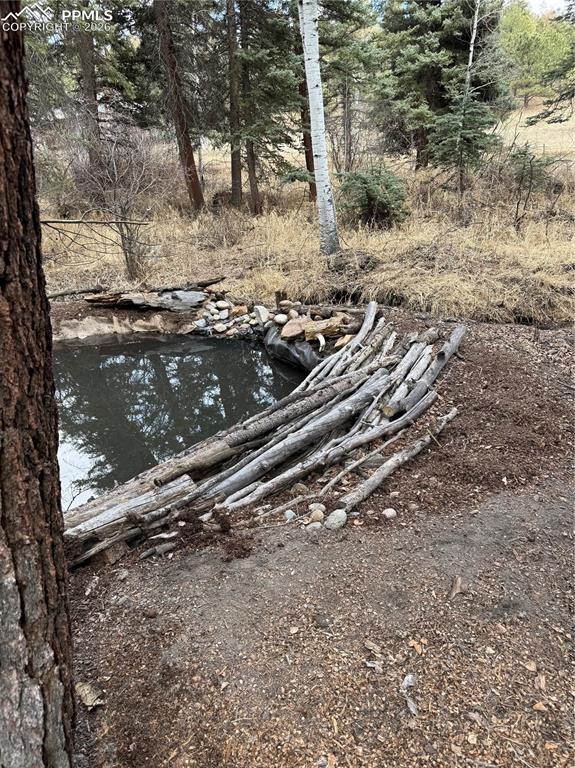 249 Gold Dust Creek Road Florissant CO 80816