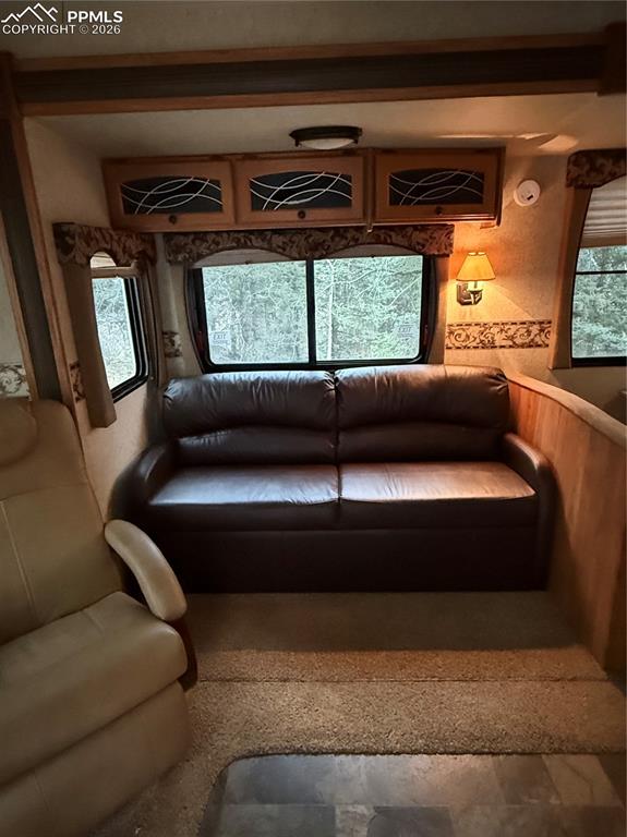 249 Gold Dust Creek Road Florissant CO 80816