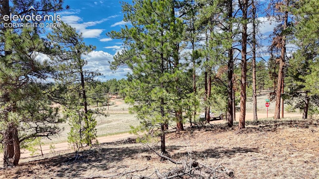 212 Obsidian Drive Florissant CO 80816