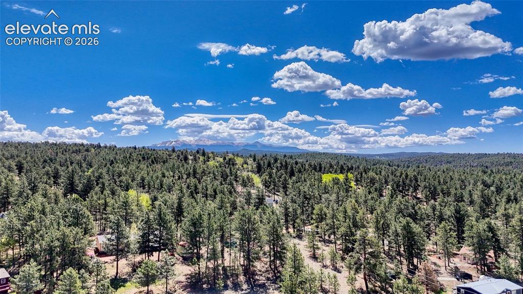 212 Obsidian Drive Florissant CO 80816