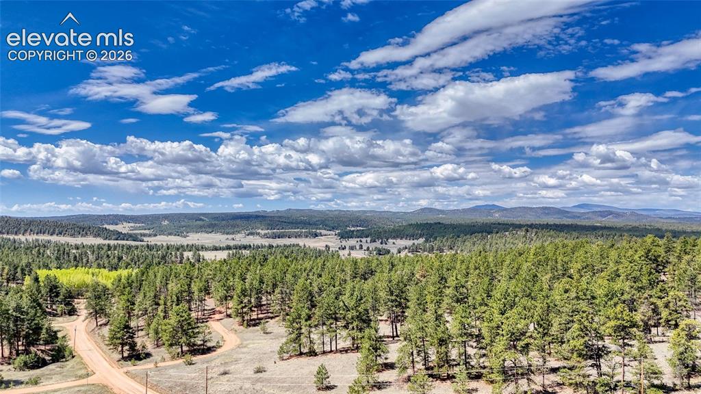 212 Obsidian Drive Florissant CO 80816