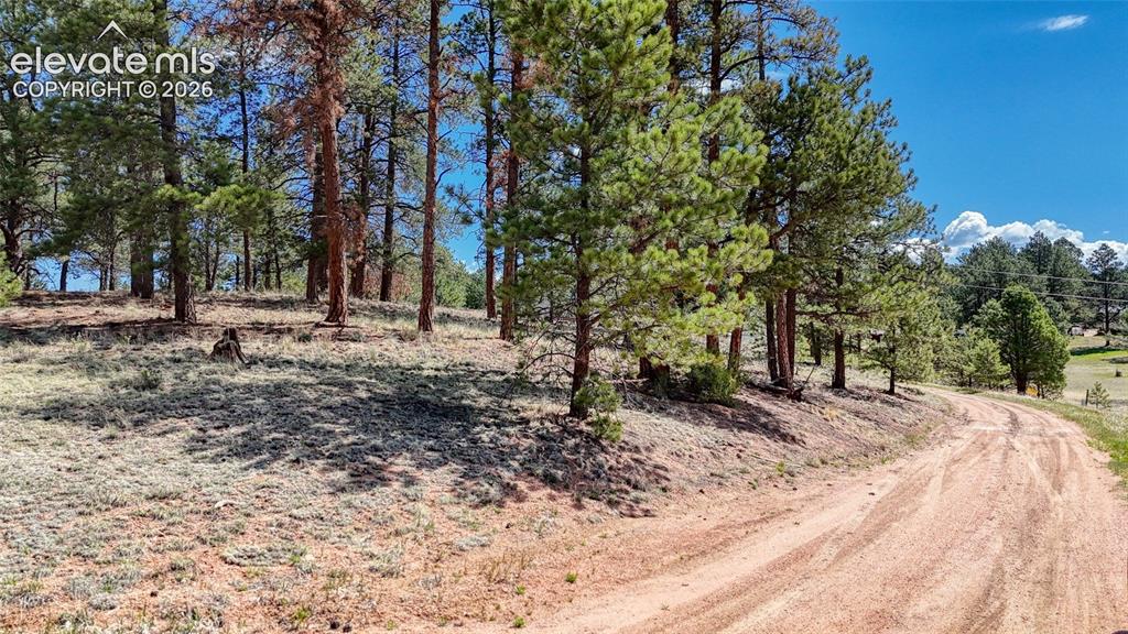 212 Obsidian Drive Florissant CO 80816
