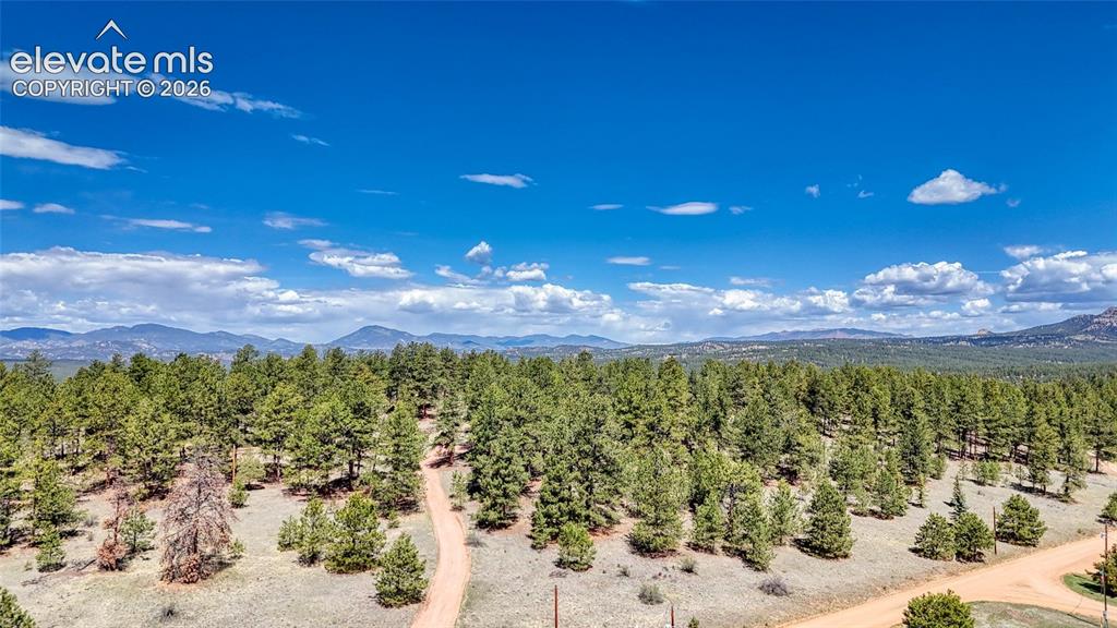212 Obsidian Drive Florissant CO 80816