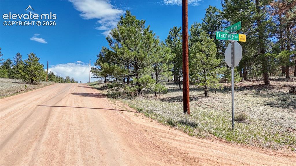 212 Obsidian Drive Florissant CO 80816