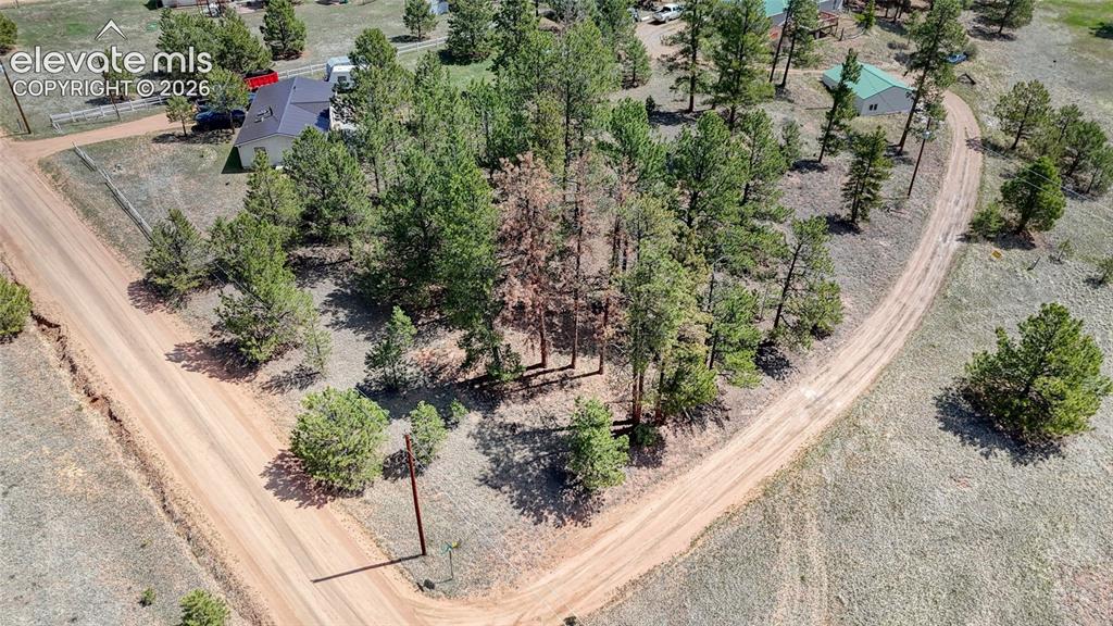 212 Obsidian Drive Florissant CO 80816