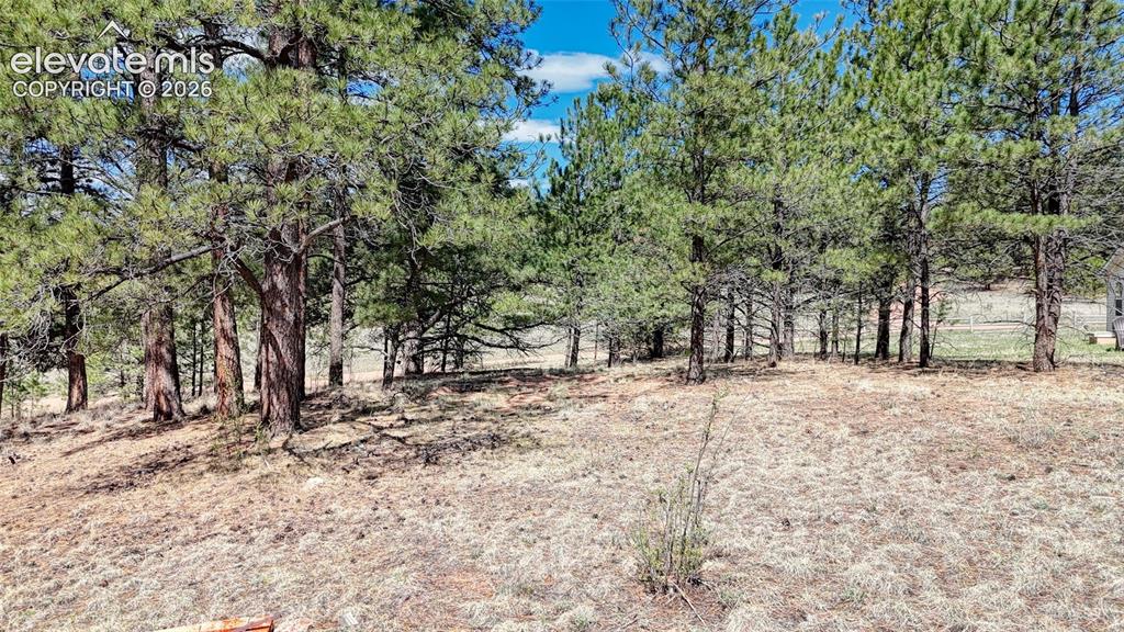 212 Obsidian Drive Florissant CO 80816