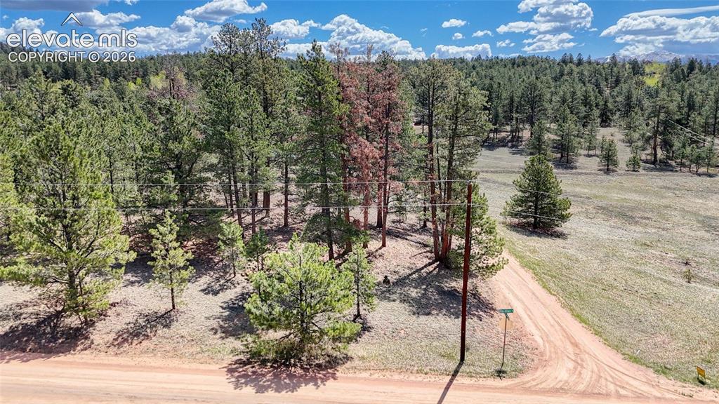 212 Obsidian Drive Florissant CO 80816