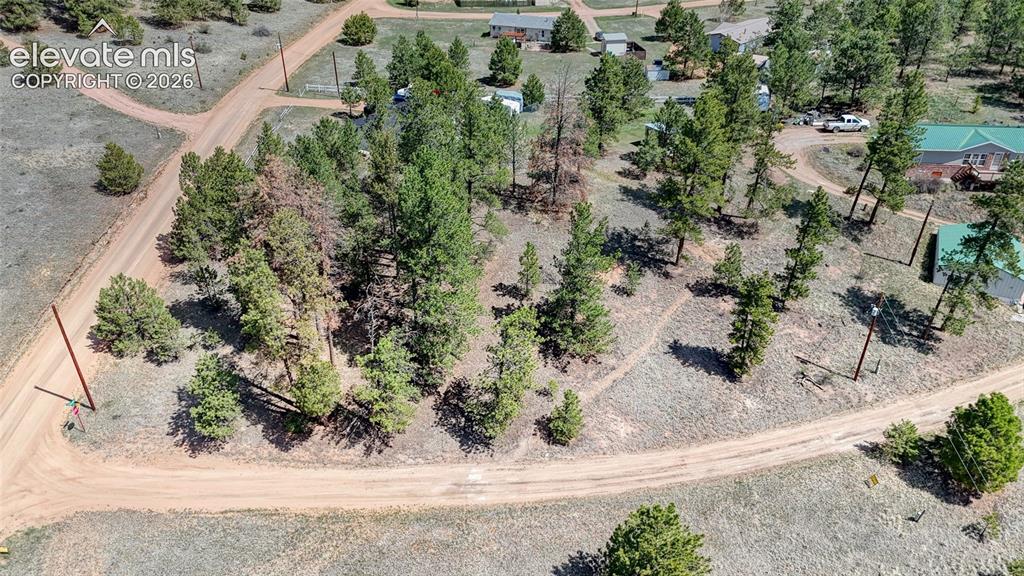 212 Obsidian Drive Florissant CO 80816