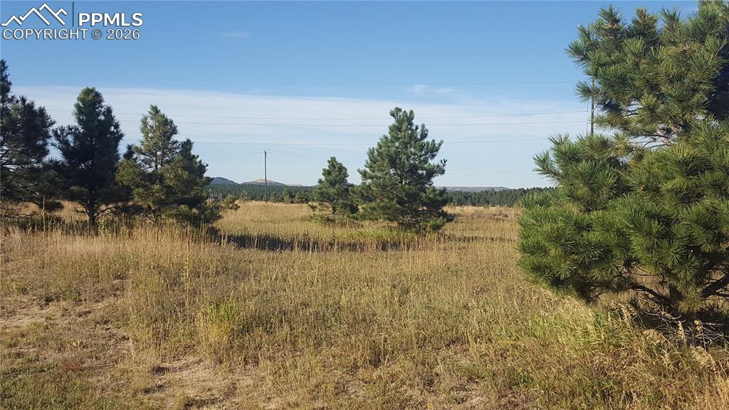 16935 Oldborough Heights Monument CO 80132