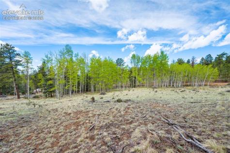 57 Beaver Creek Drive Lake George CO 80827