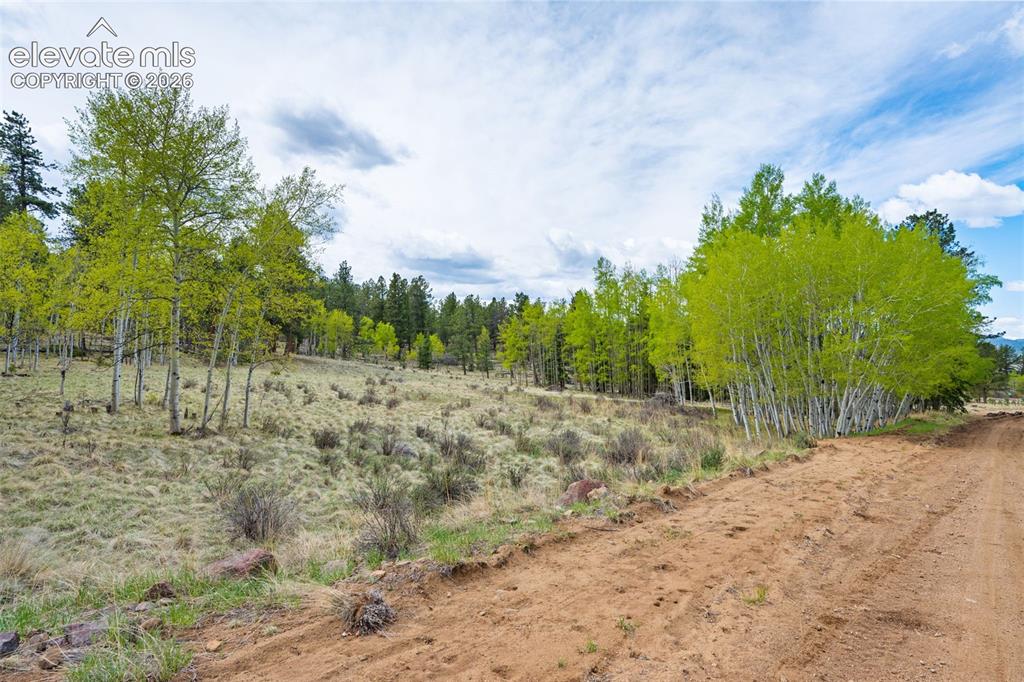 57 Beaver Creek Drive Lake George CO 80827
