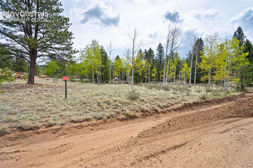 57 Beaver Creek Drive Lake George CO 80827