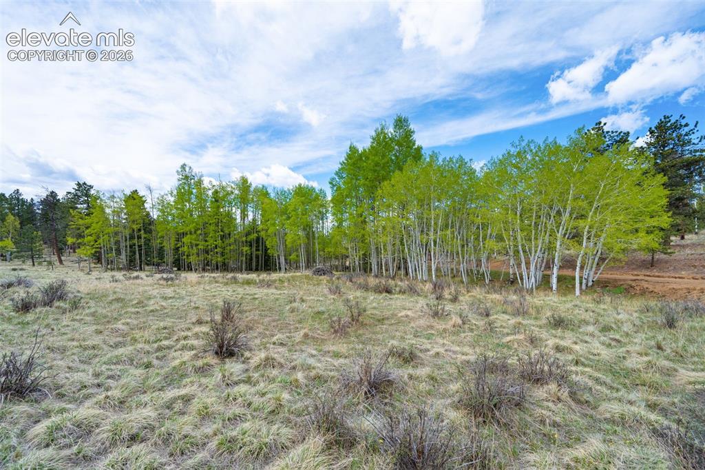 57 Beaver Creek Drive Lake George CO 80827