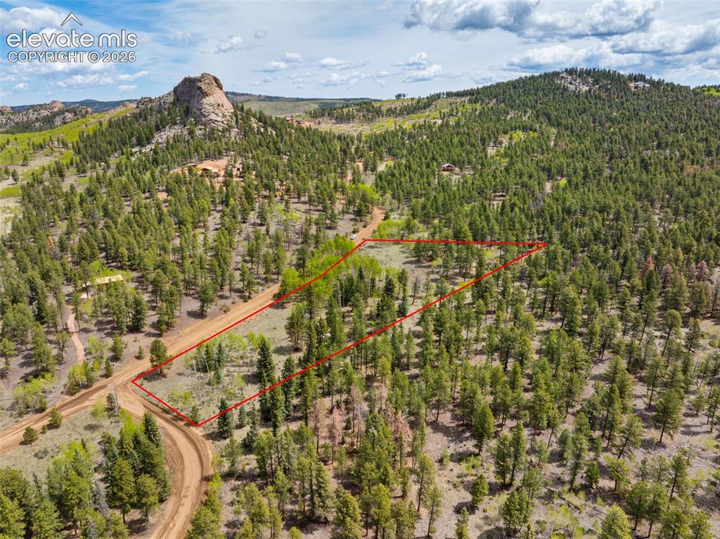 57 Beaver Creek Drive Lake George CO 80827
