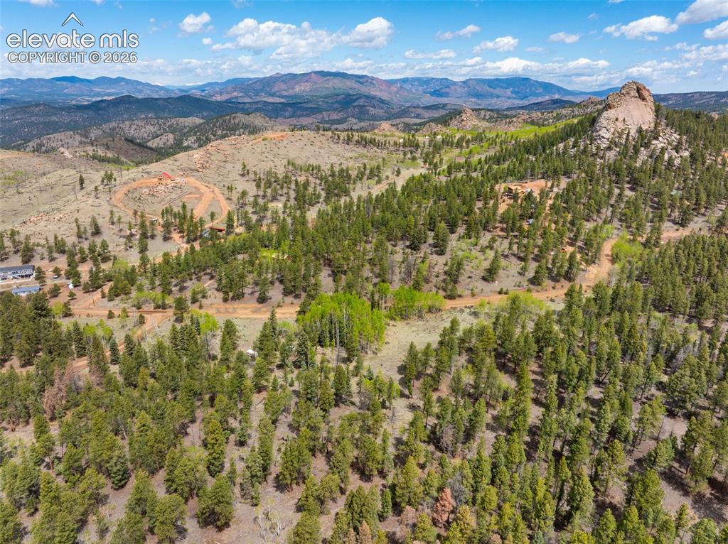 57 Beaver Creek Drive Lake George CO 80827
